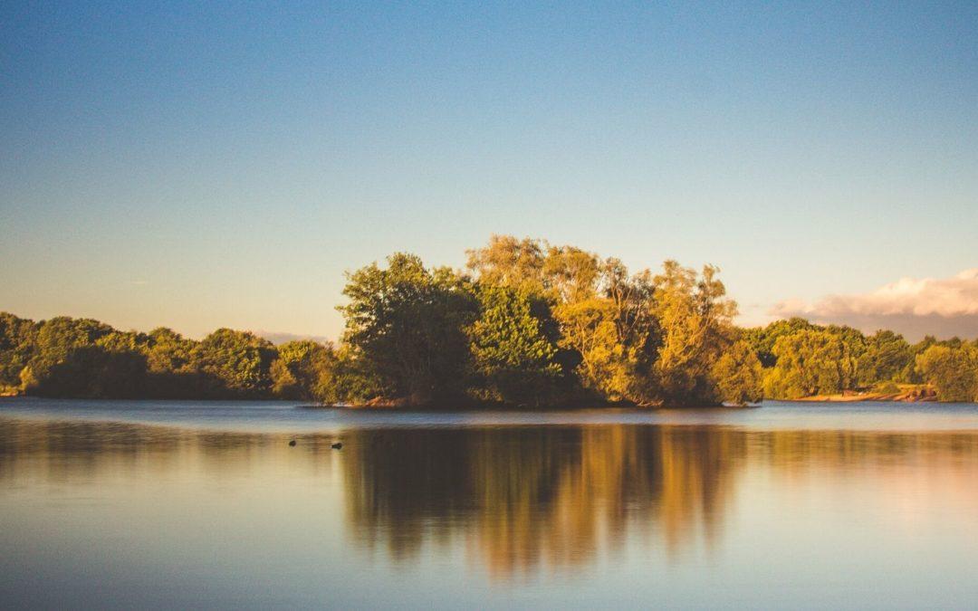 Bilderspeicher im Kopf – Warum du deinem Gehirn noch mehr Eindrücke geben solltest, wenn es eh schon randvoll ist