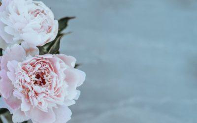 Fällt es dir leicht um das zu bitten, was du brauchst?