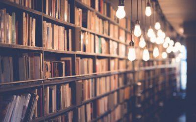 Warum Bücher dein Tor in die Welt sind und Lesen deine Geheimwaffe