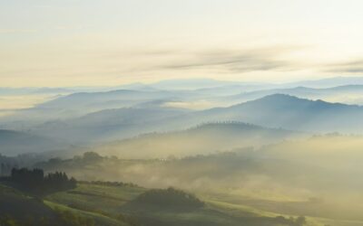 Das Morgen ist nicht versprochen.