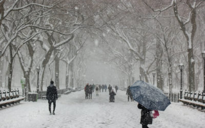 Wie du wirklich gesund bleibst, hat wenig mit deinem Lebensstil zu tun