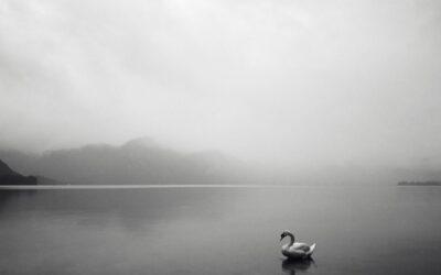 Inne halten heißt innen Halt zu finden