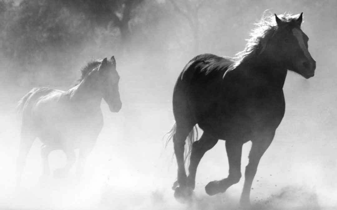 Wie du deine Körperhaltung nutzen kannst um dich glücklich zu fühlen