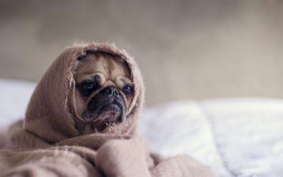 Der ultimative Schlafguide – meine 20 besten Tipps, damit du erholsam schlafen kannst