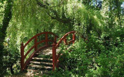 Das Geheimnis wieso Selbstverantwortung dein Leben völlig verändern kann