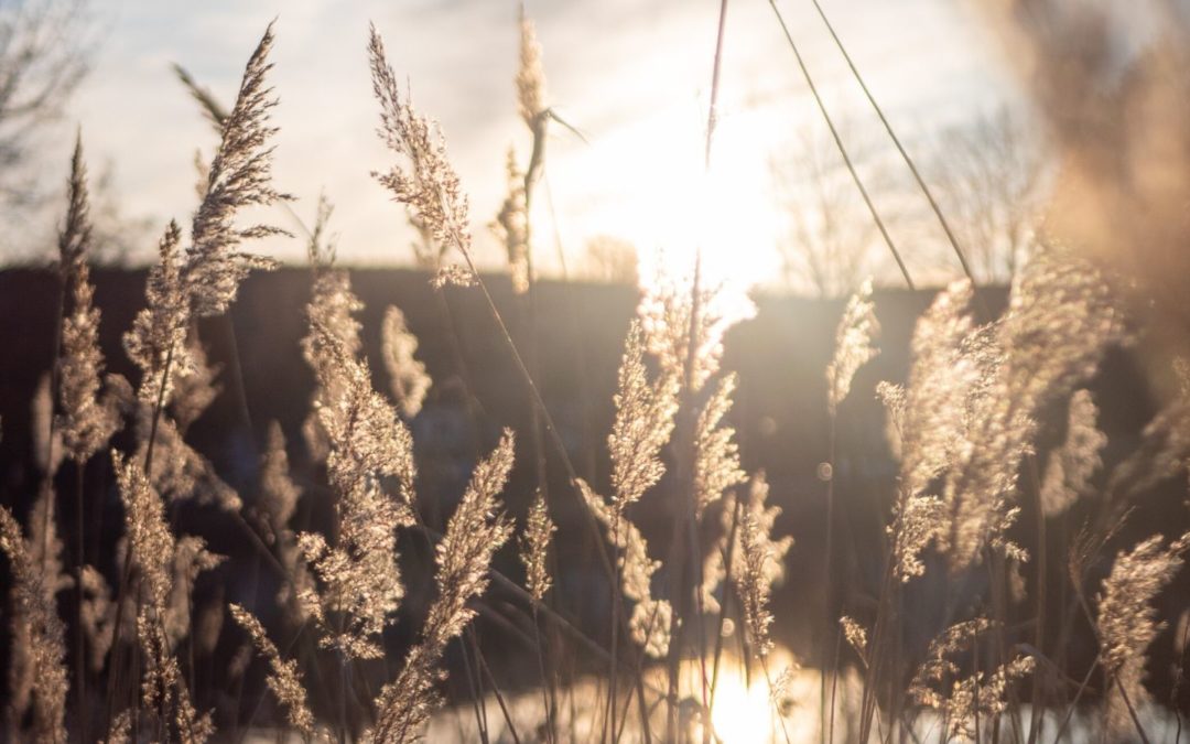 Veränderung – Alle wollen die Welt verändern, aber niemand sich selbst.