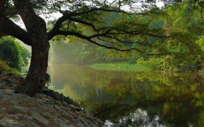 Was du tun kannst, wenn du erschöpft vom Leben bist