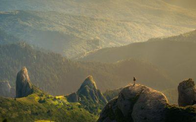 Was wäre die großzügige Reaktion?