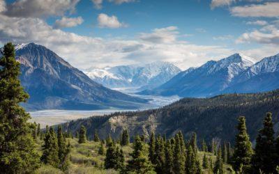 Wächst du noch oder lässt du zu, dass dein Leben immer enger wird?