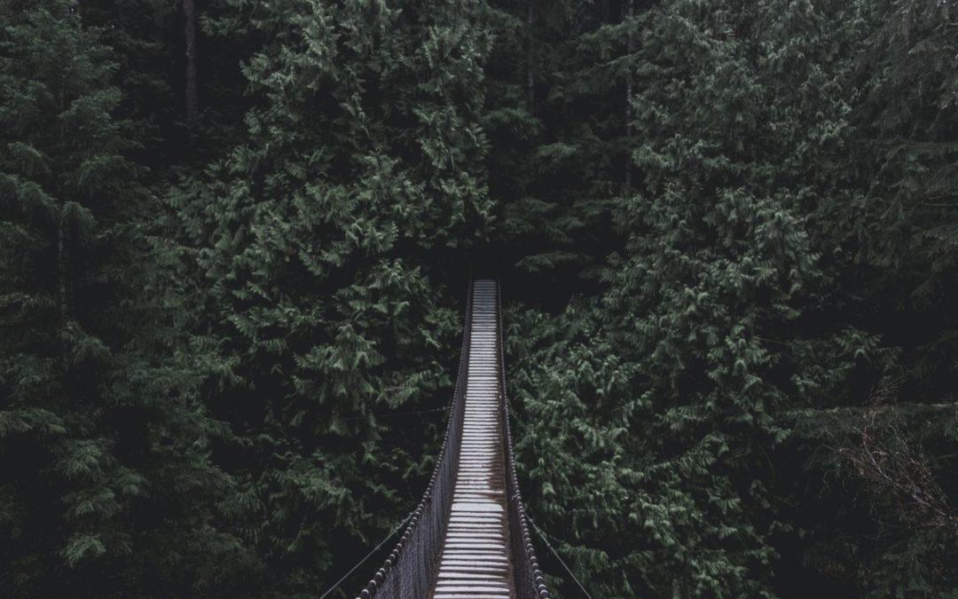 Lerne dich unwohl zu fühlen und deine Welt wird sich ändern