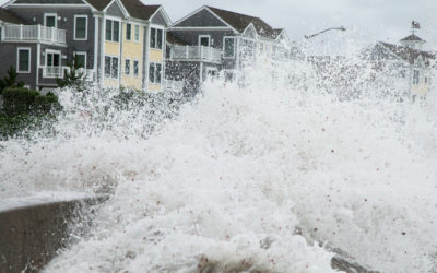 Die nackte Wahrheit über die Infoflut