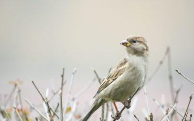 Was brauchst du im Leben wirklich?