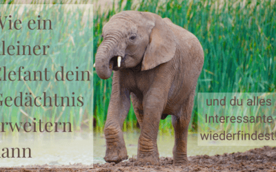 Evernote – Wie ein kleiner Elefant dein Gedächtnis erweitern kann und du alles an interessanten Notizen, Internetinfos, Grafiken und sonstigen Info-Schnippseln auf einen Klick wieder findest!